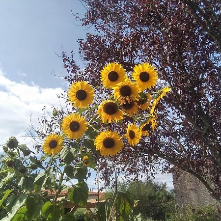 Les Tournesols Bed & Breakfast La Bernardiere Ngoại thất bức ảnh