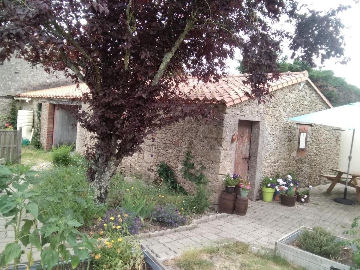 Les Tournesols Bed & Breakfast La Bernardiere Ngoại thất bức ảnh